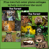 The Forest Mini Book for Early Readers: Forest Animals