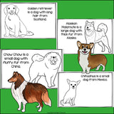 Dogs Mini Book for Early Readers