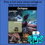 Octopus Mini Book for Early Readers
