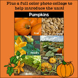 Pumpkins Mini Book for Early Readers