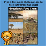 Grasslands Food Chain Mini Book for Early Readers - Food Chains
