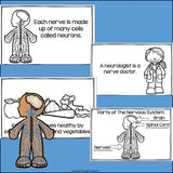 Human Body Systems: Nervous System Mini Book for Early Readers
