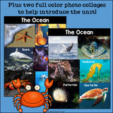 The Ocean Mini Book for Early Readers: Ocean Animals