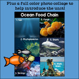 Ocean Food Chain Mini Book for Early Readers - Food Chains