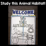 Antarctic Lapbook for Early Learners