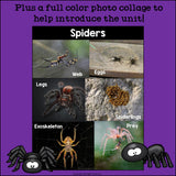 Spiders Mini Book for Early Readers