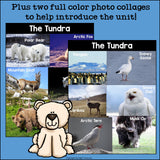 The Tundra Mini Book for Early Readers: Tundra Animals