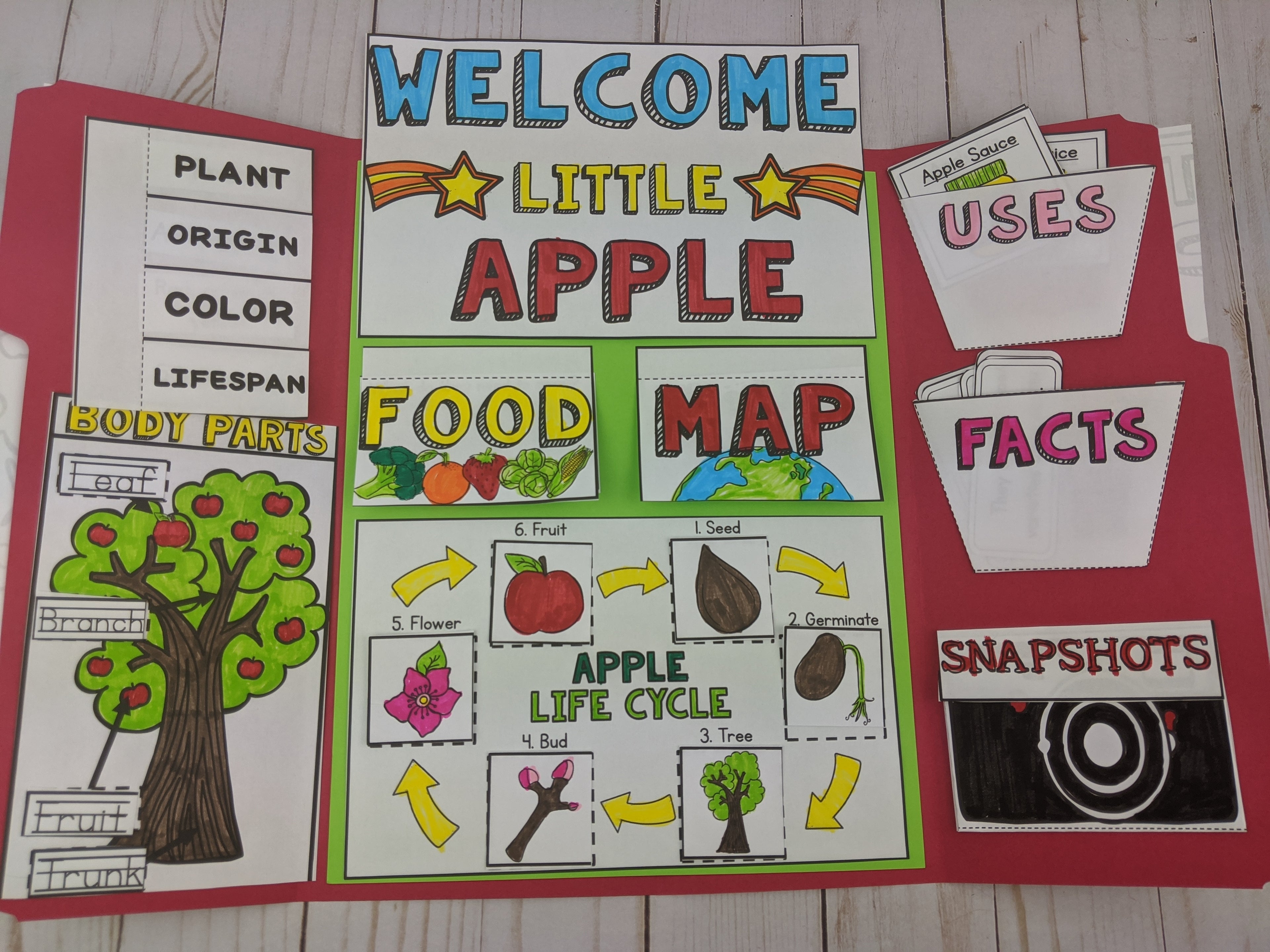 Apples Lapbook for Early Readers