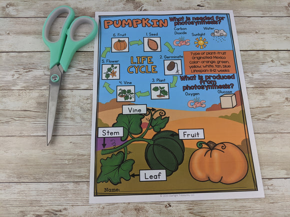 Pumpkin Fact Sheet Freebie