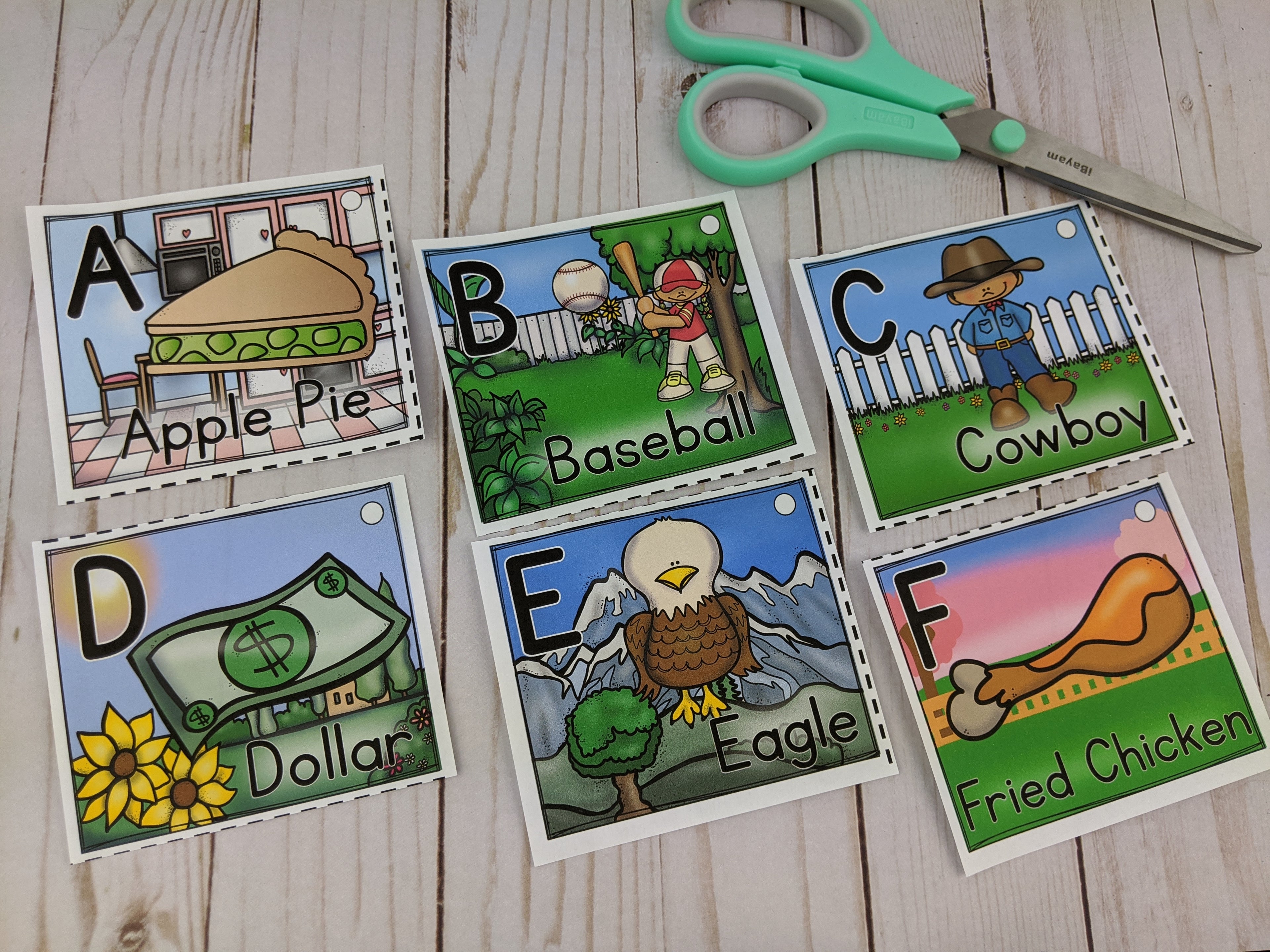 USA Flash Cards Freebie