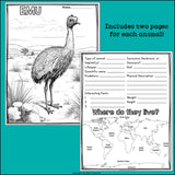 Australian Animals Research Posters, Coloring Pages - Animal Research Project