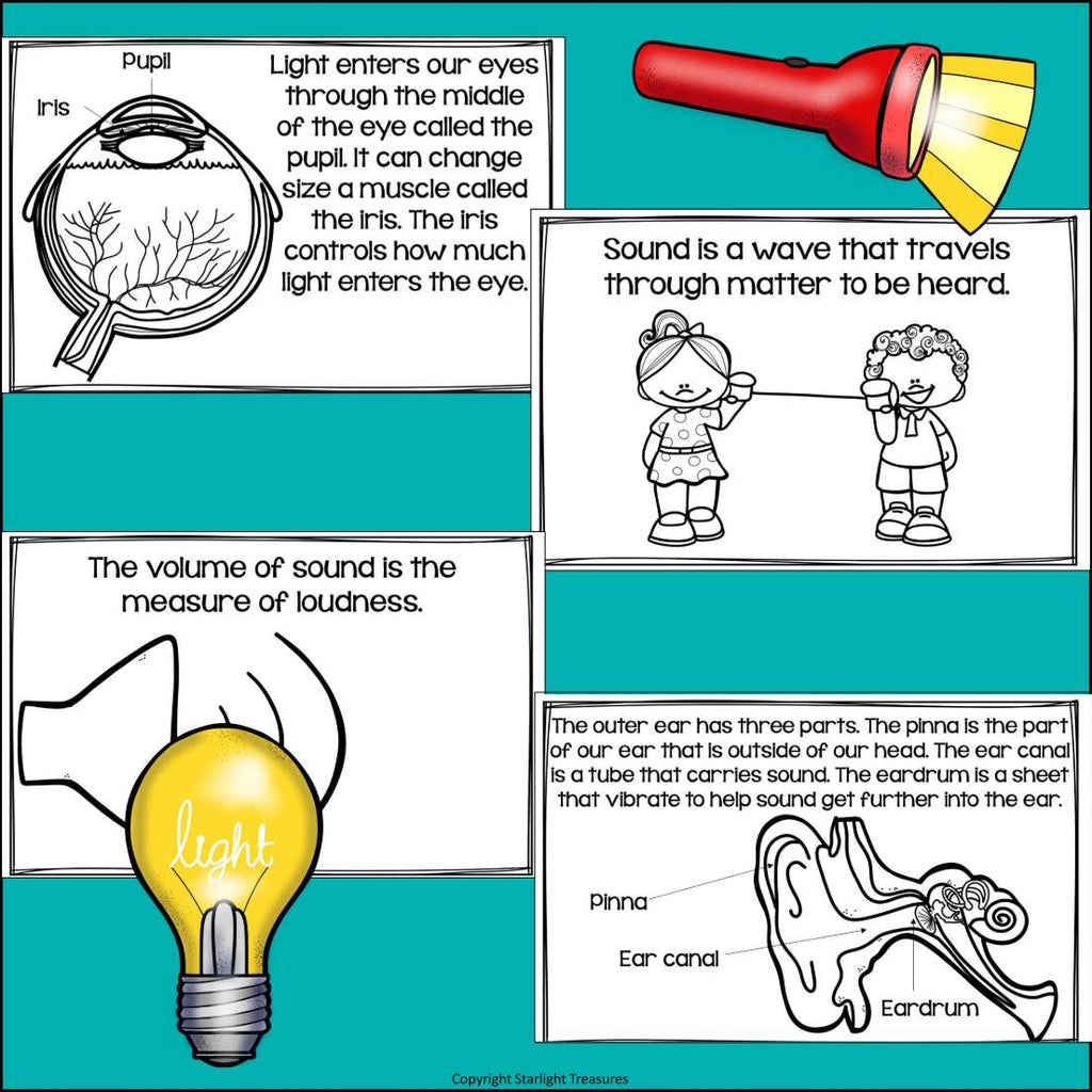 Light and Sound Mini Book for Early Readers: Physical Science, Eye, Ear