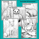 Prairie Animals Research Posters, Coloring Pages - Animal Research Project