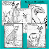 Savanna Animals Research Posters, Coloring Pages - Animal Research Project