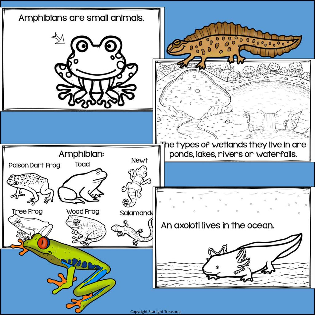 Amphibians Mini Book for Early Readers: Animal Groups and Classifications