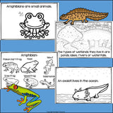 Amphibians Mini Book for Early Readers: Animal Groups and Classifications