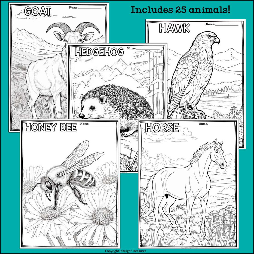 Prairie Animals Research Posters, Coloring Pages - Animal Research Project