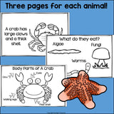 Beach Mini Book for Early Readers: Beach Animals