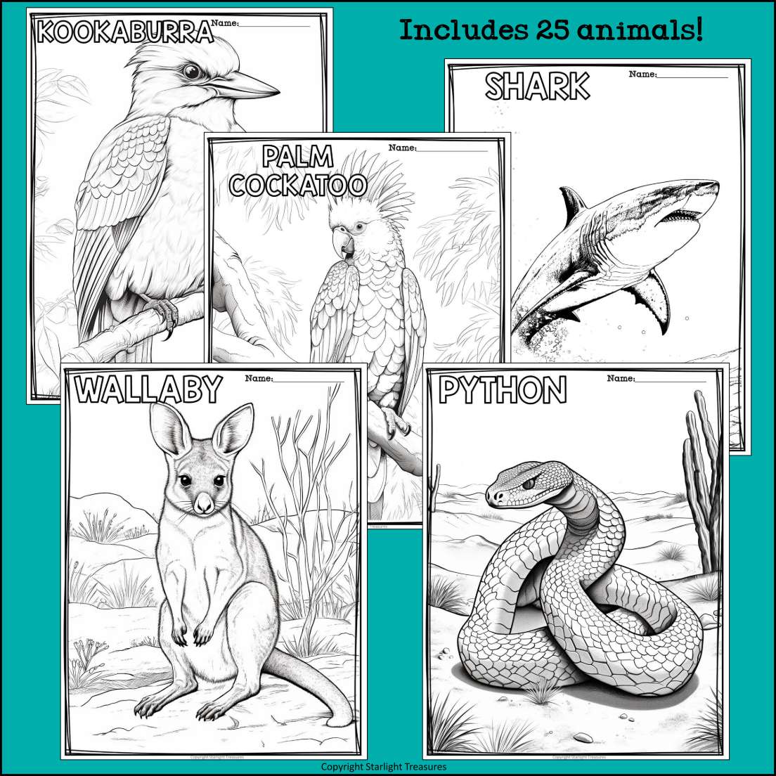 Australian Animals Research Posters, Coloring Pages - Animal Research Project