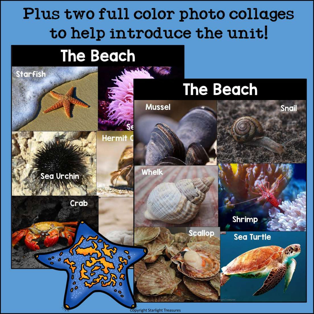 Beach Mini Book for Early Readers: Beach Animals