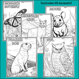 Prairie Animals Research Posters, Coloring Pages - Animal Research Project