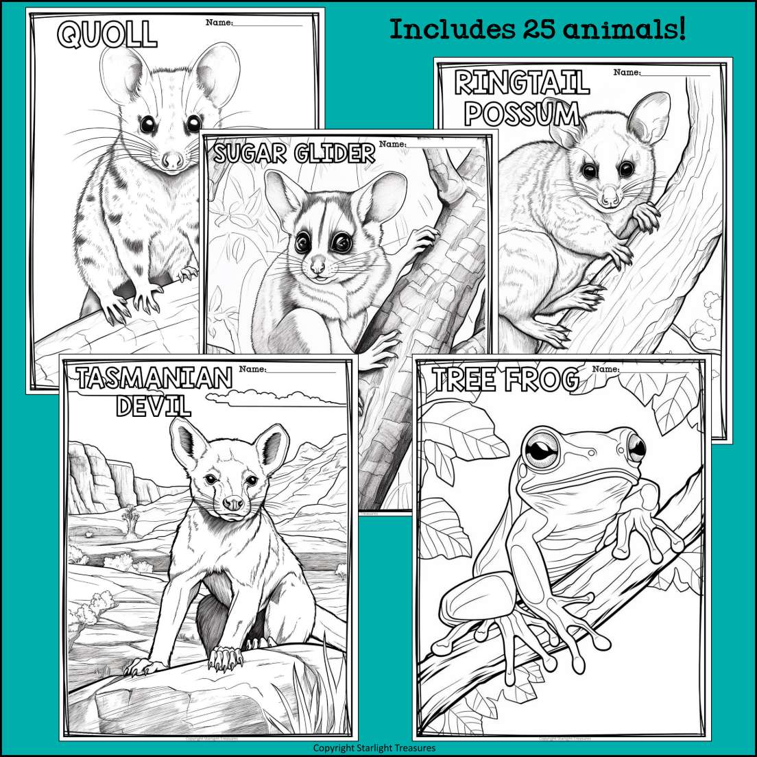 Australian Animals Research Posters, Coloring Pages - Animal Research Project