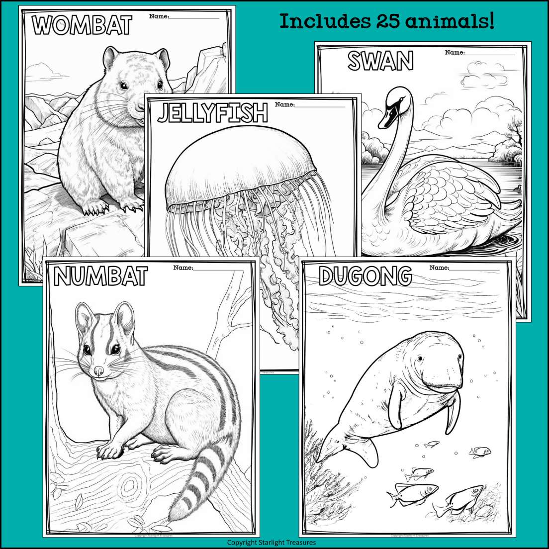 Australian Animals Research Posters, Coloring Pages - Animal Research Project