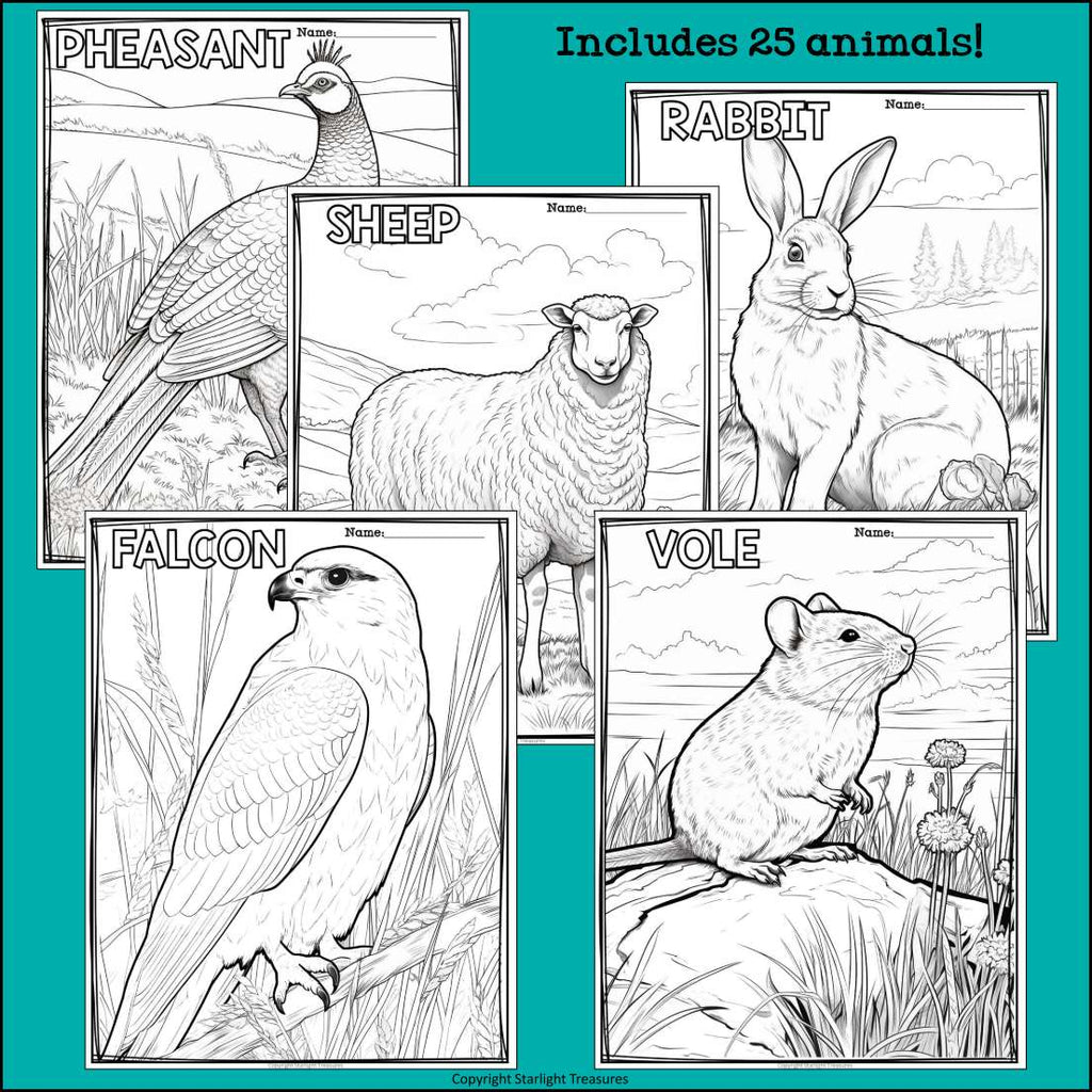 Prairie Animals Research Posters, Coloring Pages - Animal Research Project