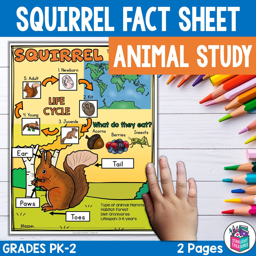 Squirrel Fact Sheet for Early Readers - Animal Study, Squirrel Life Cycle Unit