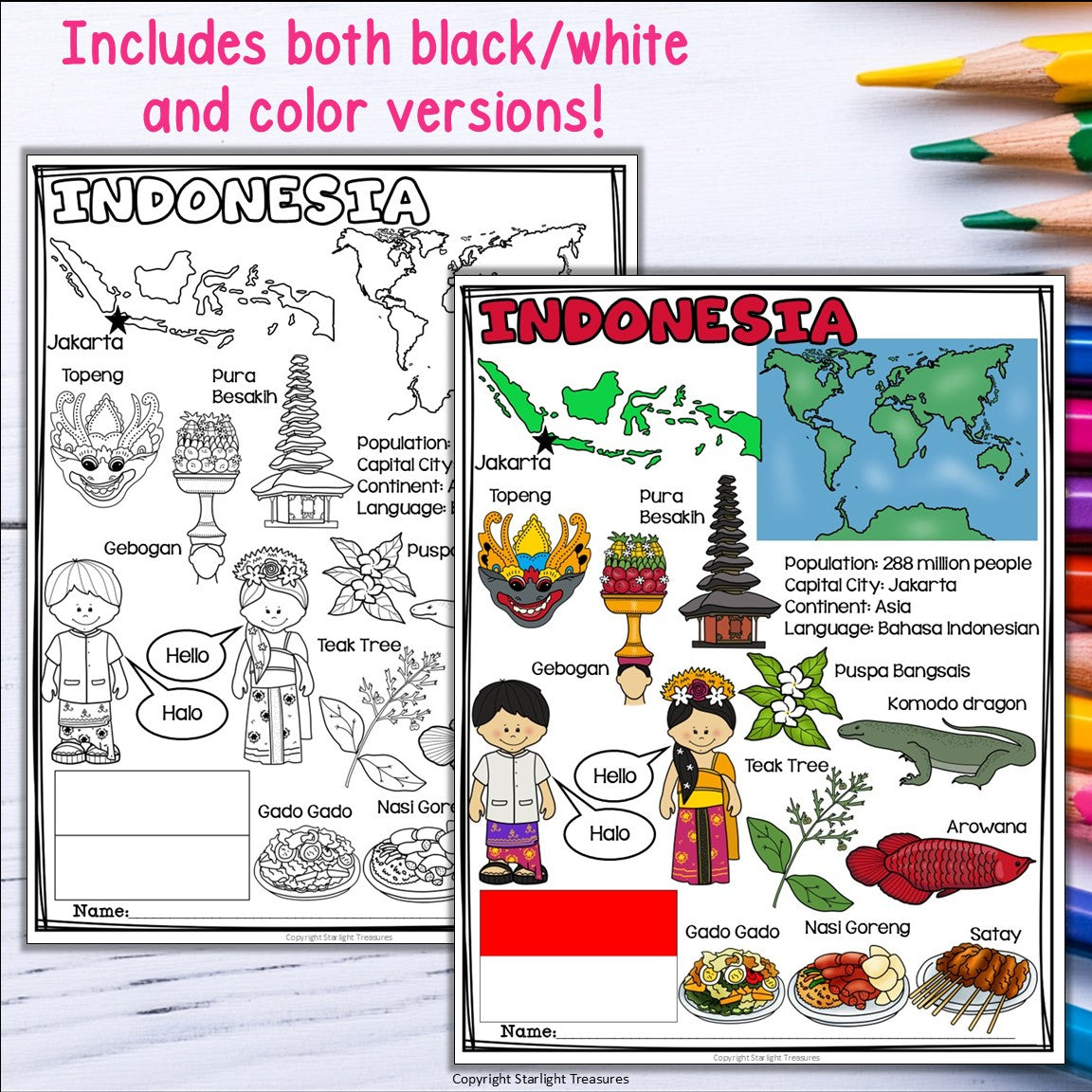 Indonesia Fact Sheet for Early Readers - All About Indonesia Country Study Unit
