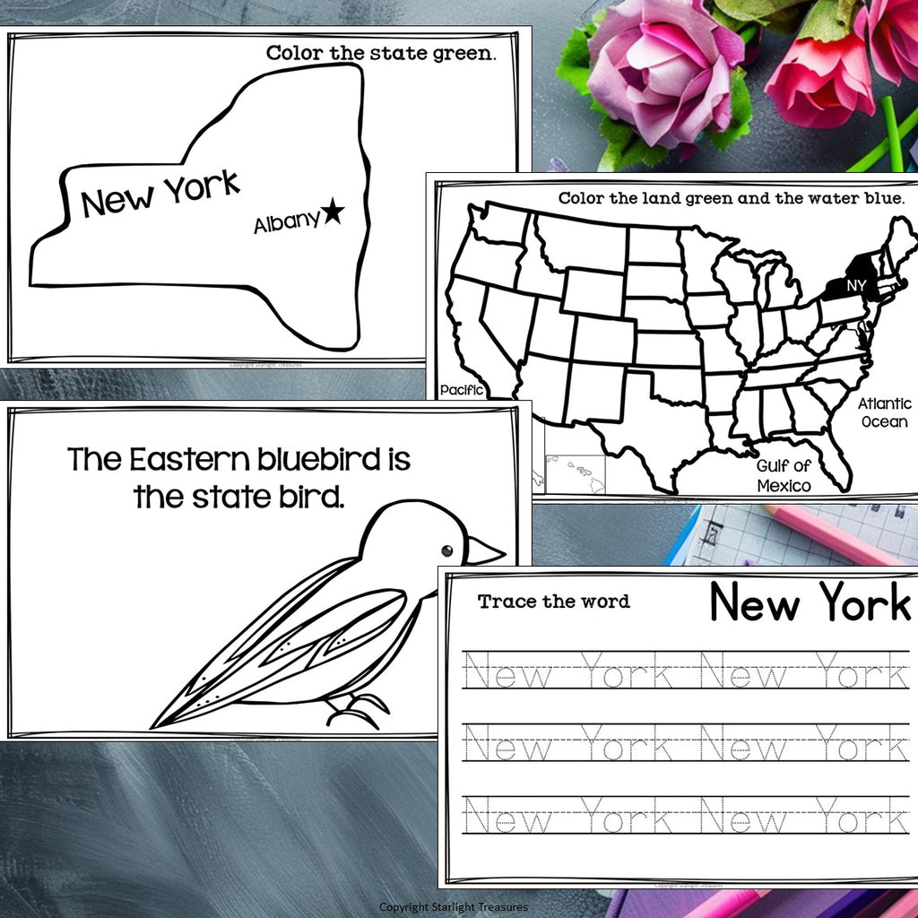New York Mini Book for Early Readers - A State Study