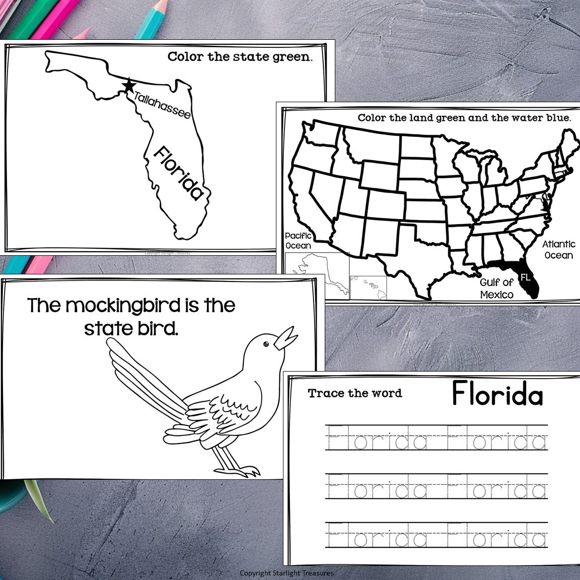 Florida Mini Book for Early Readers - A State Study