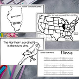 Illinois Mini Book for Early Readers - A State Study