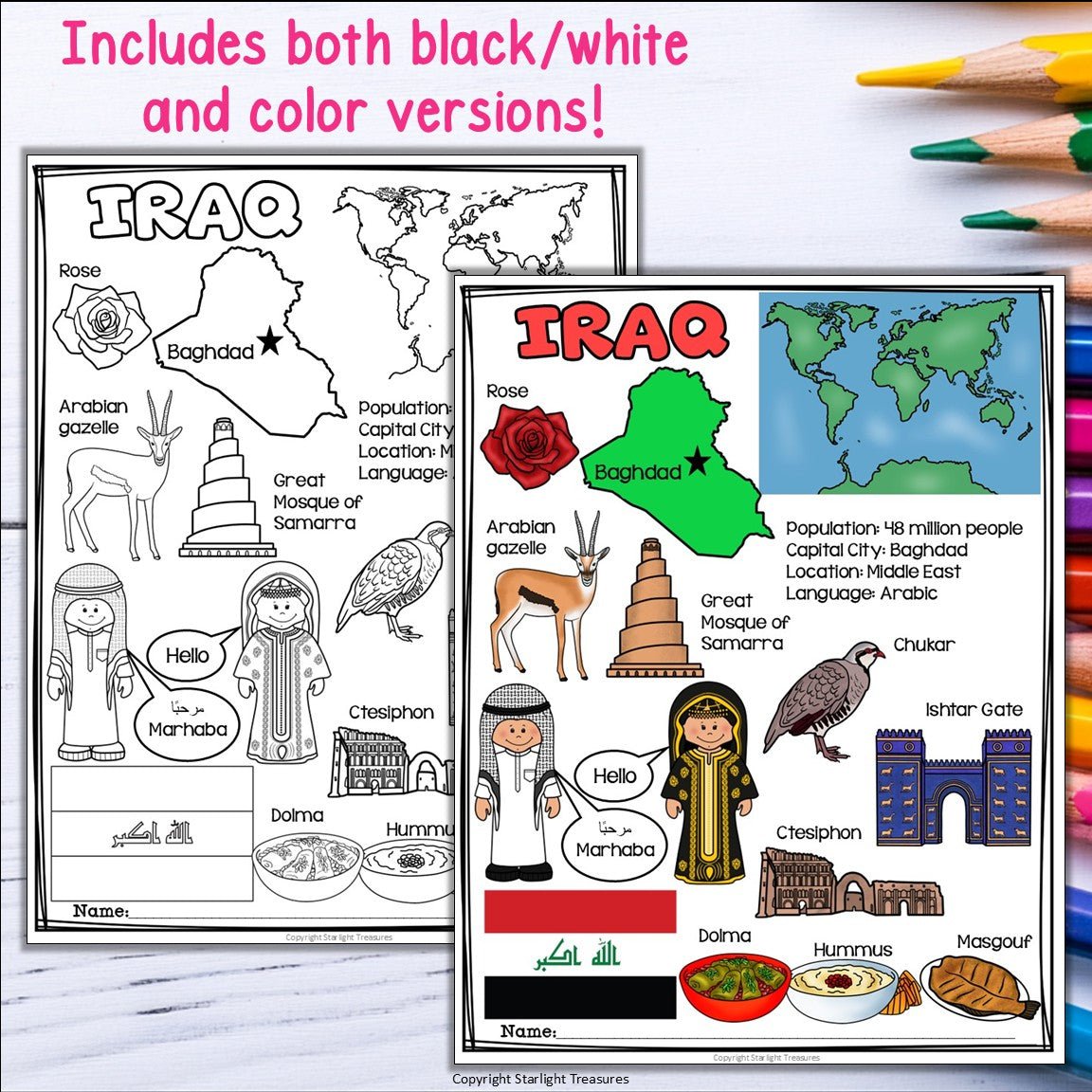 Iraq Fact Sheet for Early Readers - All About Iraq Country Study Activity Unit