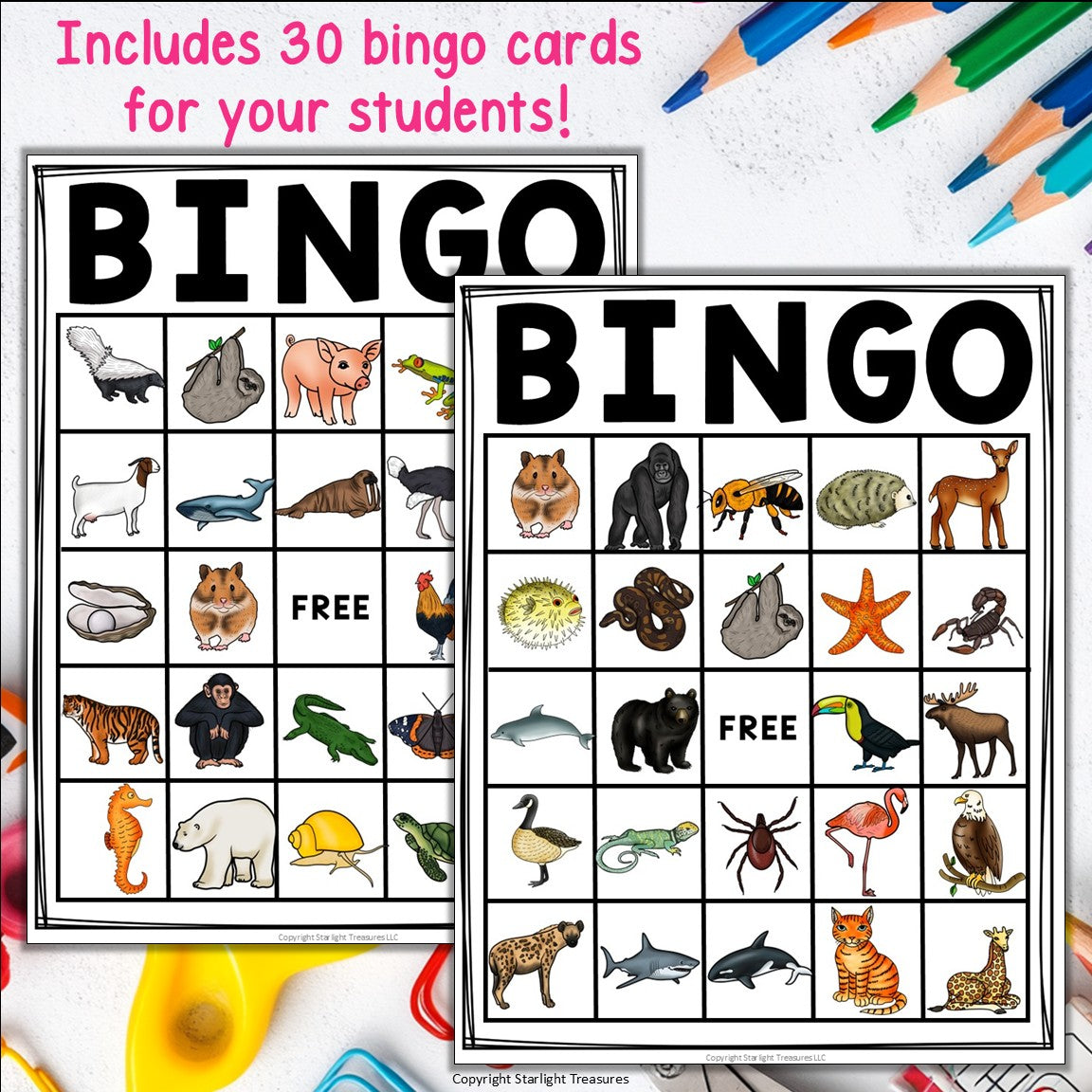 Animal Bingo Cards for Early Readers - Animals Bingo FREEBIE