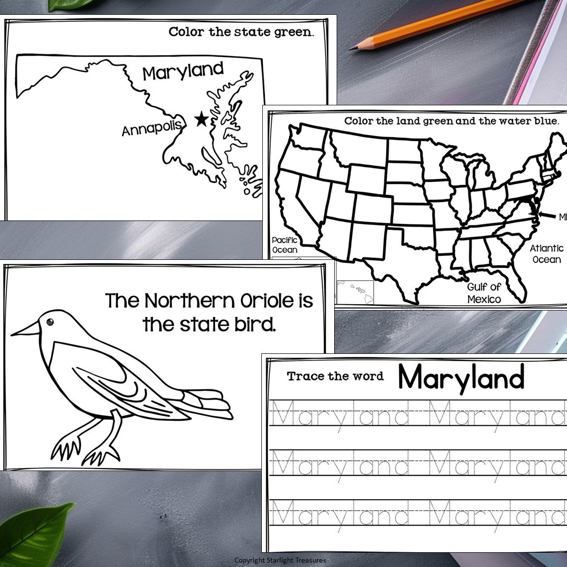 Maryland Mini Book for Early Readers - A State Study