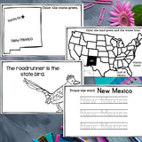 New Mexico Mini Book for Early Readers - A State Study