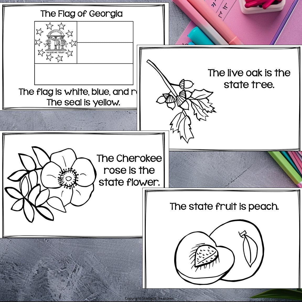 Georgia Mini Book for Early Readers - A State Study