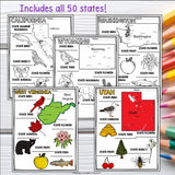 50 States Research Posters, Coloring Pages - US States Research Project