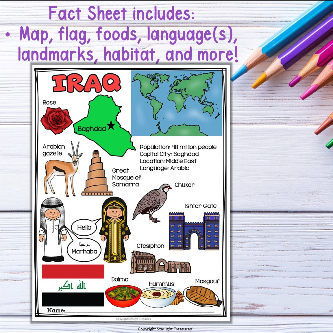 Iraq Fact Sheet for Early Readers - All About Iraq Country Study Activity Unit