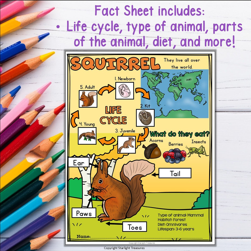 Squirrel Fact Sheet for Early Readers - Animal Study, Squirrel Life Cycle Unit