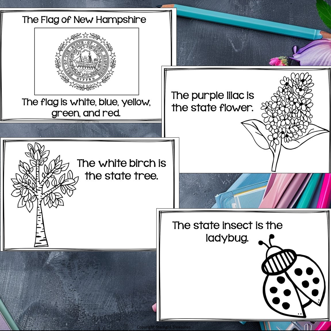 New Hampshire Mini Book for Early Readers - A State Study