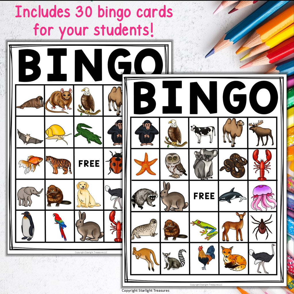 Animal Bingo Cards for Early Readers - Animals Bingo FREEBIE