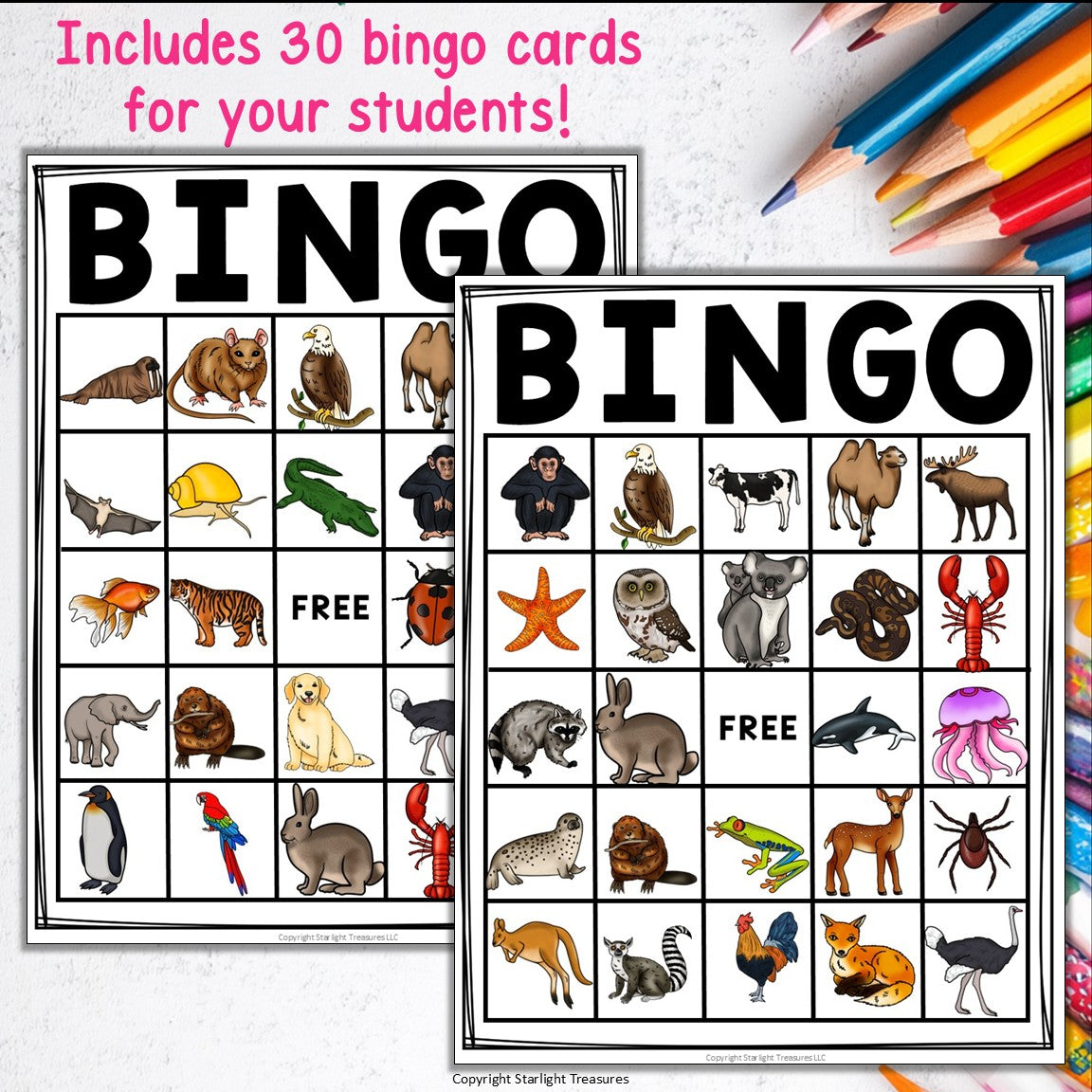 Animal Bingo Cards for Early Readers - Animals Bingo FREEBIE