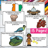 Ivory Coast Mini Book for Early Readers - A Country Study, Ivory Coast Country