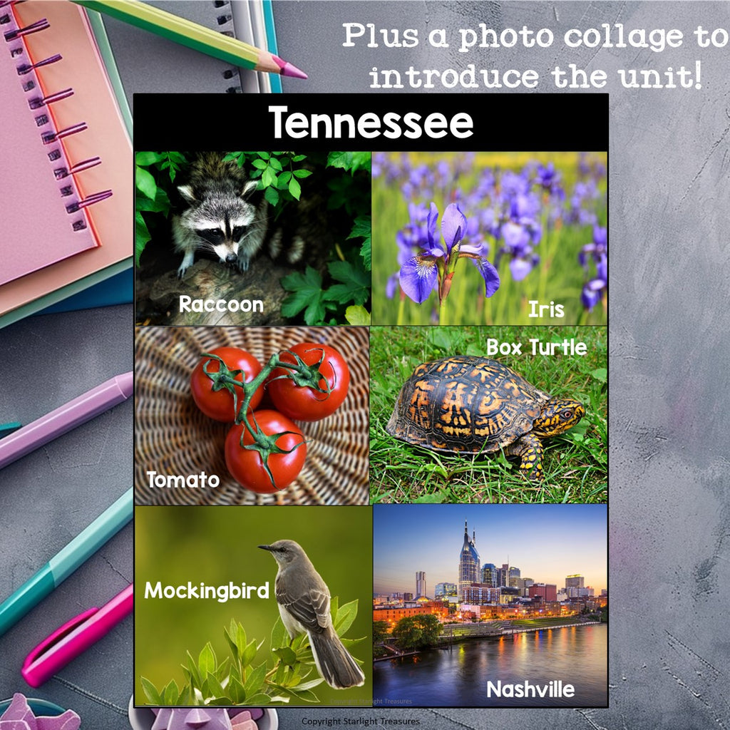 Tennessee Mini Book for Early Readers - A State Study