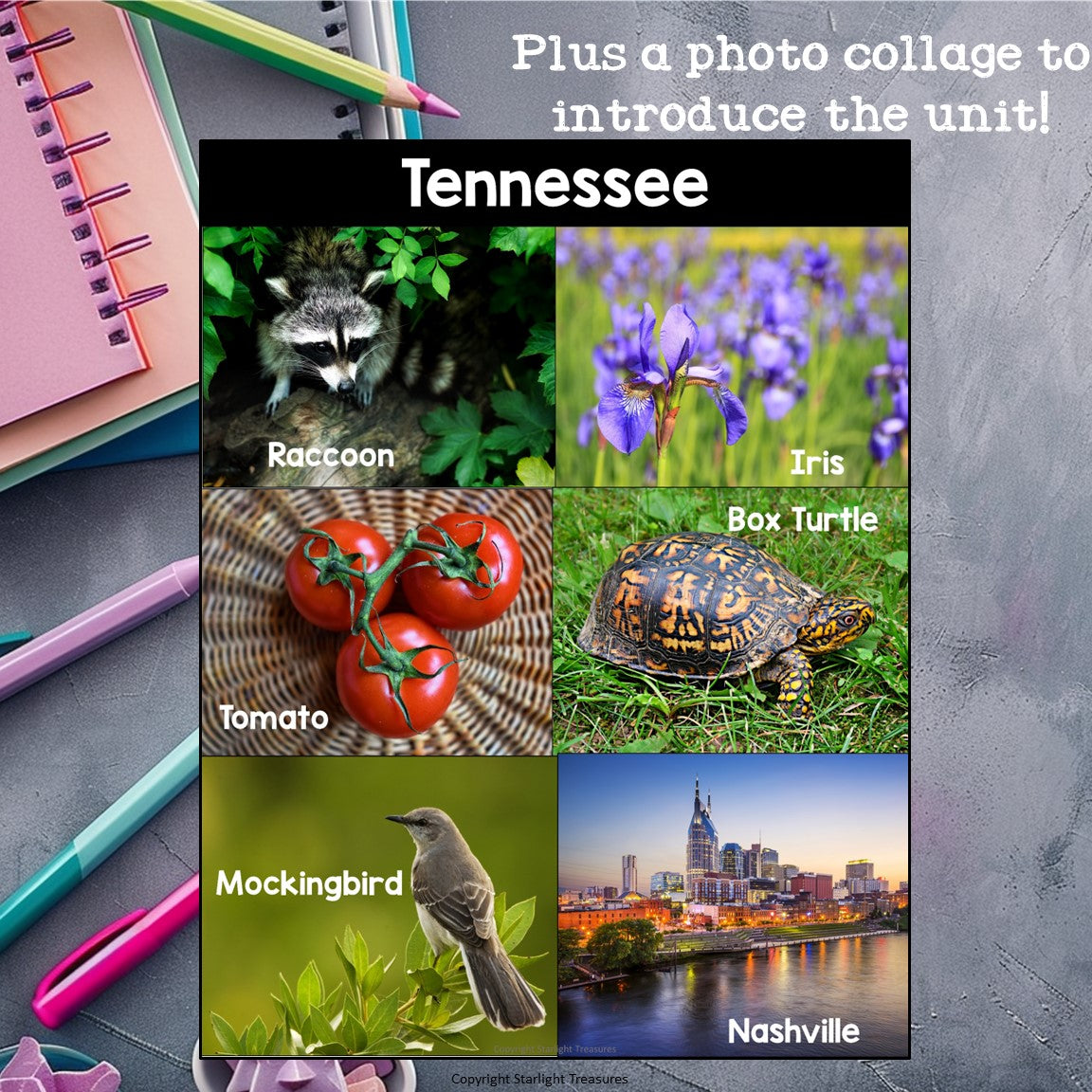 Tennessee Mini Book for Early Readers - A State Study