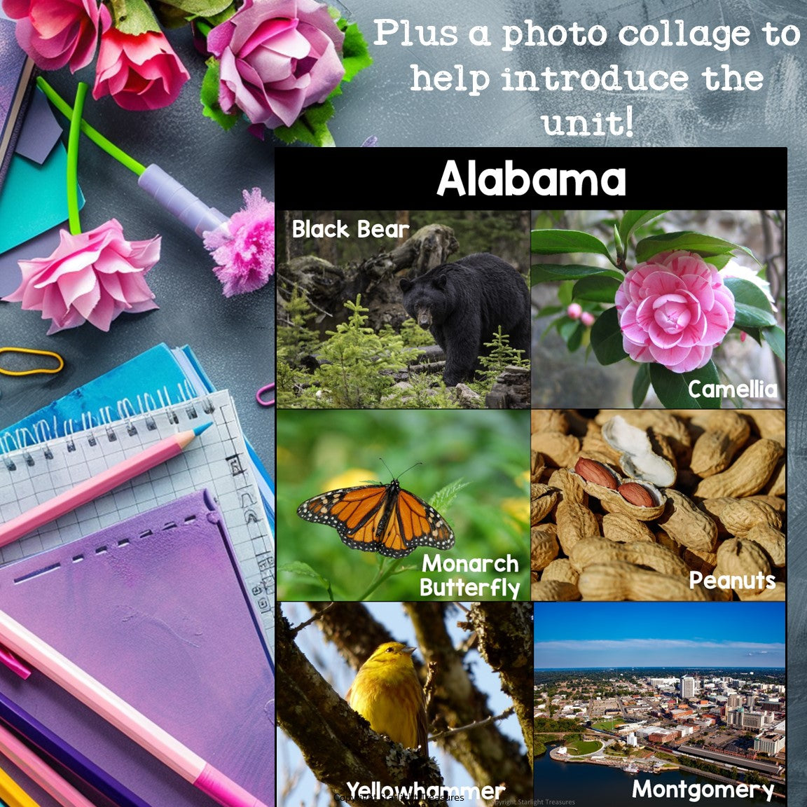 Alabama Mini Book for Early Readers - A State Study