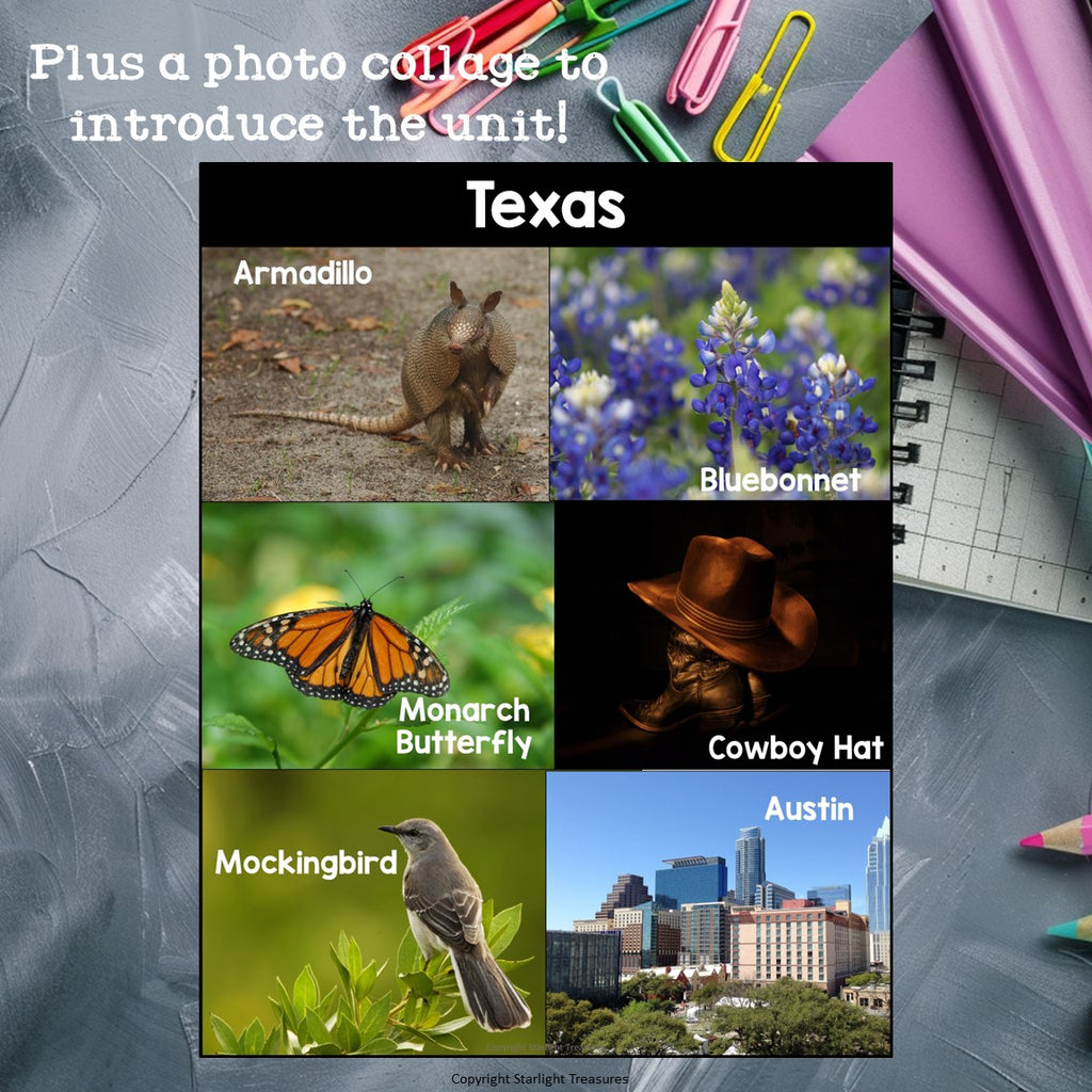 Texas Mini Book for Early Readers - A State Study