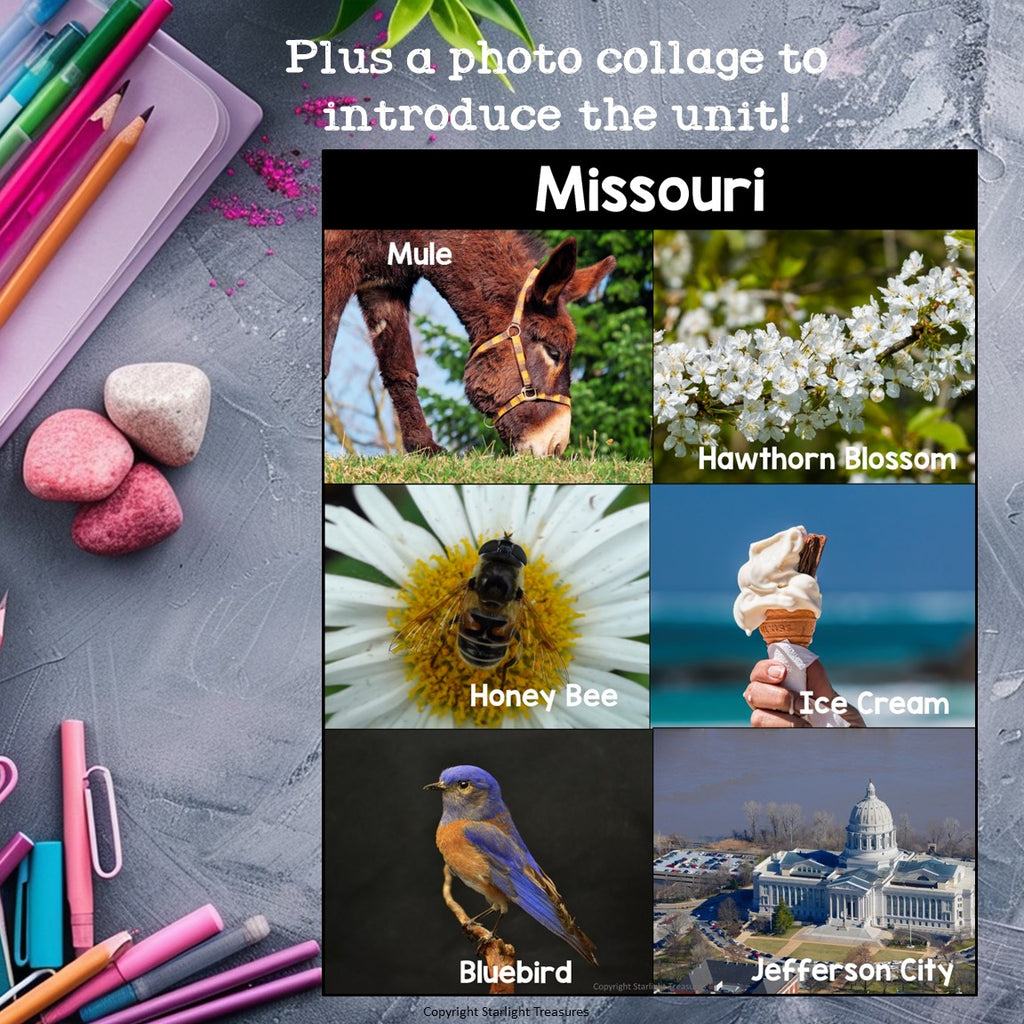 Missouri Mini Book for Early Readers - A State Study